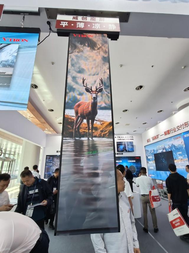 高质量向普及：IFC2024专业显示大势(图4)