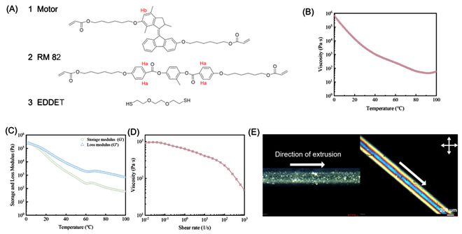 华南师范大学陈家文教授JACS：基于3D打印的仿生液晶弹性体(图2)