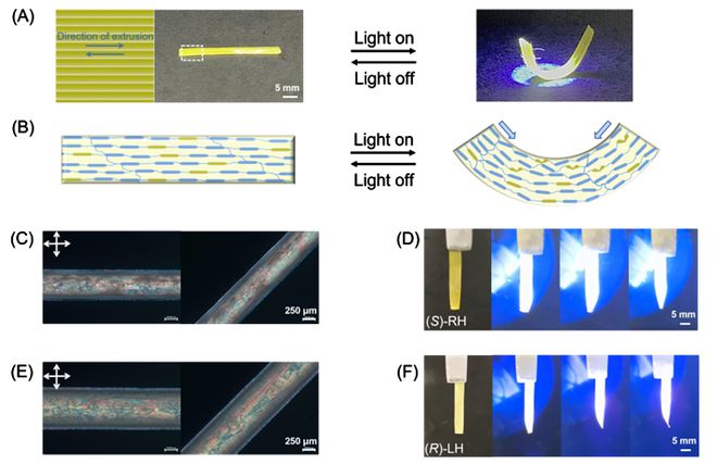 华南师范大学陈家文教授JACS：基于3D打印的仿生液晶弹性体(图3)