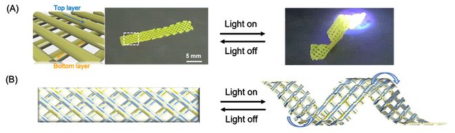 华南师范大学陈家文教授JACS：基于3D打印的仿生液晶弹性体(图4)
